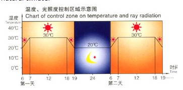 上海精宏 光照培养箱 GZP-350