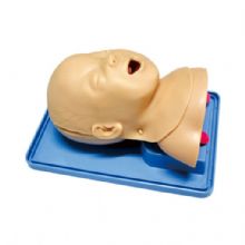  高级婴儿气管插管训练模型KAS-15-2  婴儿的舌,口咽, 会厌,喉,声带和气管的真实解剖