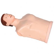  半身心肺复苏训练模拟人KAS-CPR100  户外简易型