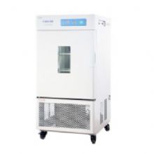 一恒恒温恒湿箱LHS-250HC-II 无氟制冷（专业型）/平衡式