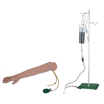  高級手臂動脈穿刺及肌肉注射訓練模型