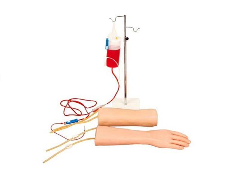  手部、肘部組合式靜脈輸液（血）訓(xùn)練模型